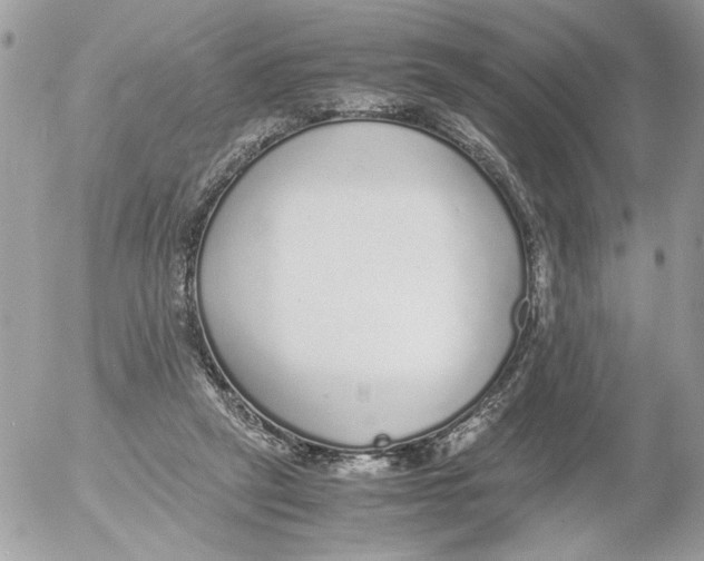 X0000052580257200507292039