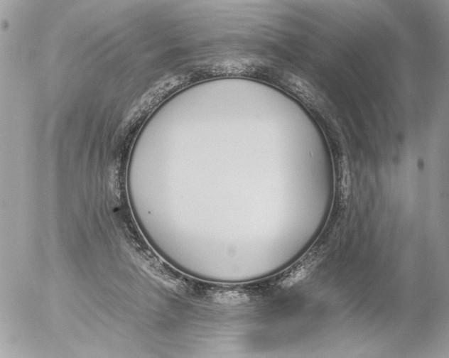 X0000052580258200507292039