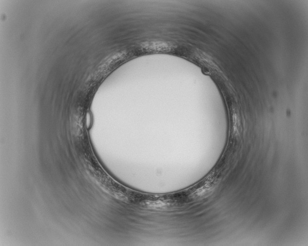 X0000052580259200507292039