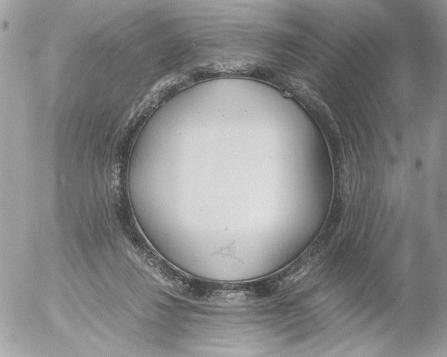 X0000052580260200507292039