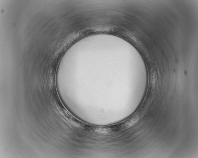 X0000052580261200507292039