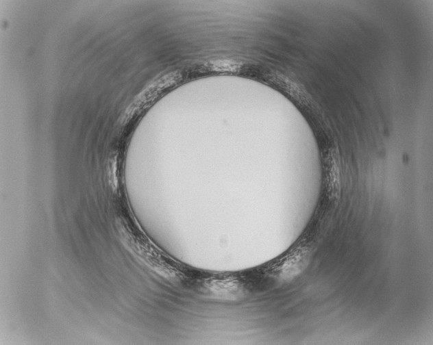 X0000052580262200507292039