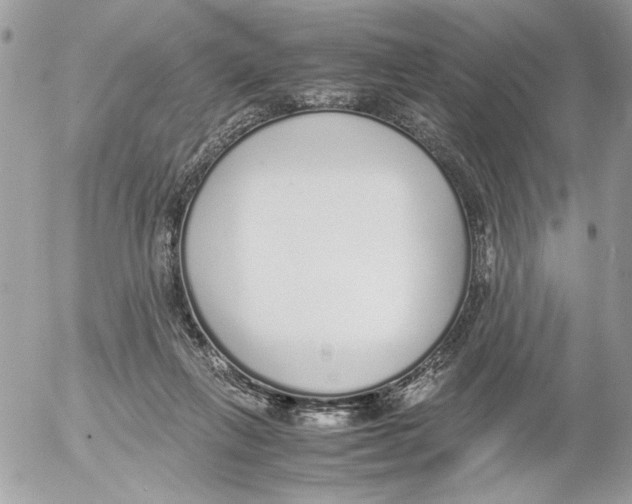 X0000052580263200507292039