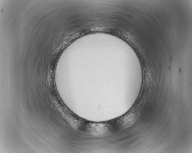 X0000052580265200507292039