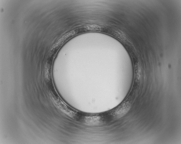 X0000052580266200507292039