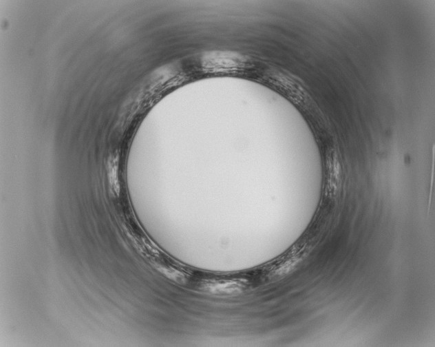 X0000052580267200507292039