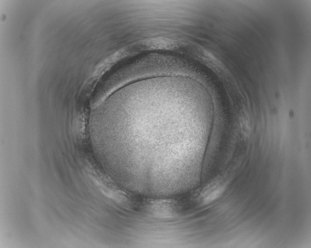 X0000052580268200507292039