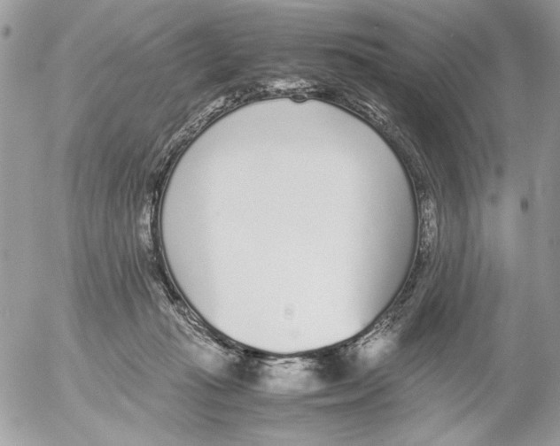 X0000052580269200507292039