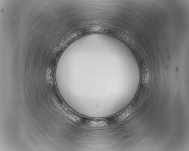 X0000052580270200507292039