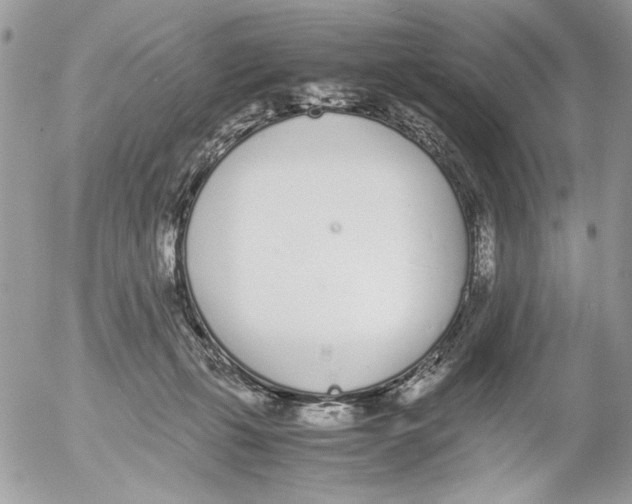 X0000052580271200507292039