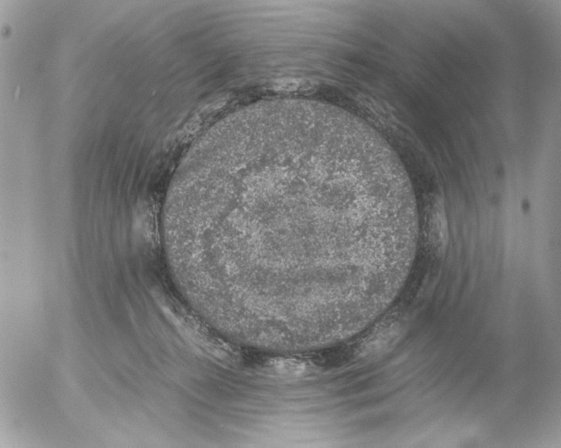 X0000052580272200507292039