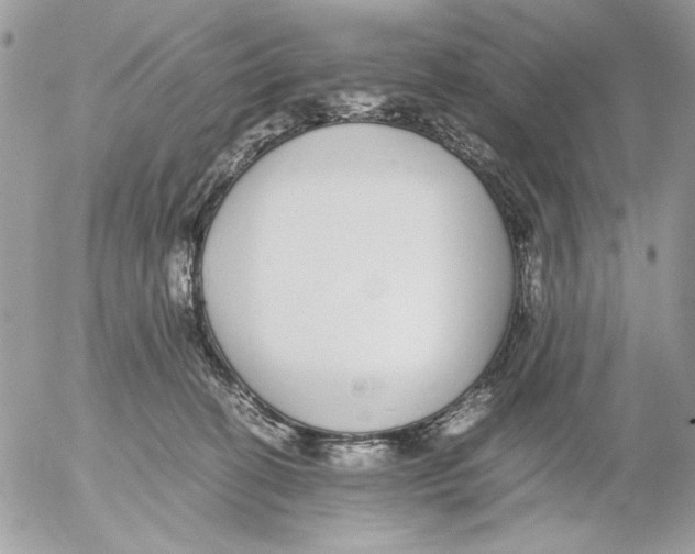 X0000052580274200507292039