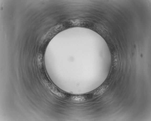 X0000052580275200507292039