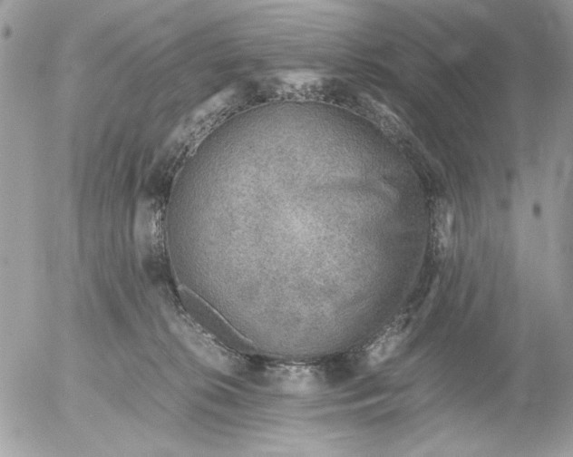 X0000052580276200507292040