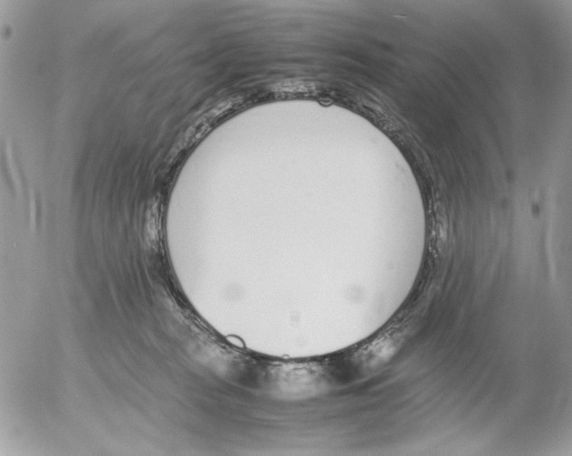 X0000052580277200507292040