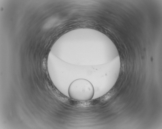 X0000052580278200507292040