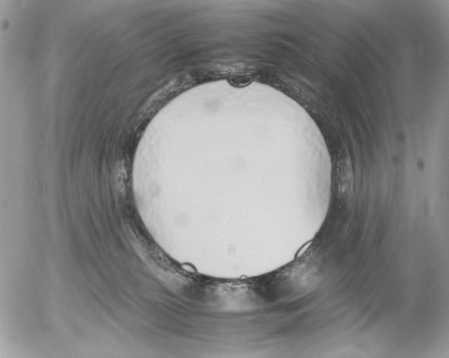 X0000052580279200507292040