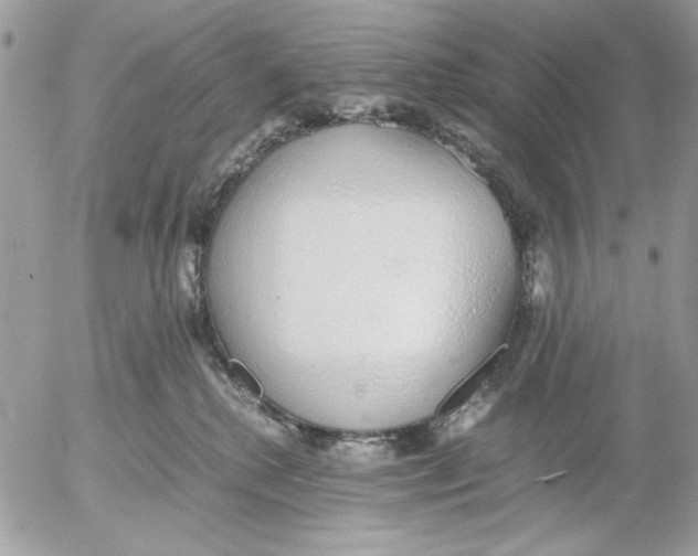 X0000052580280200507292040