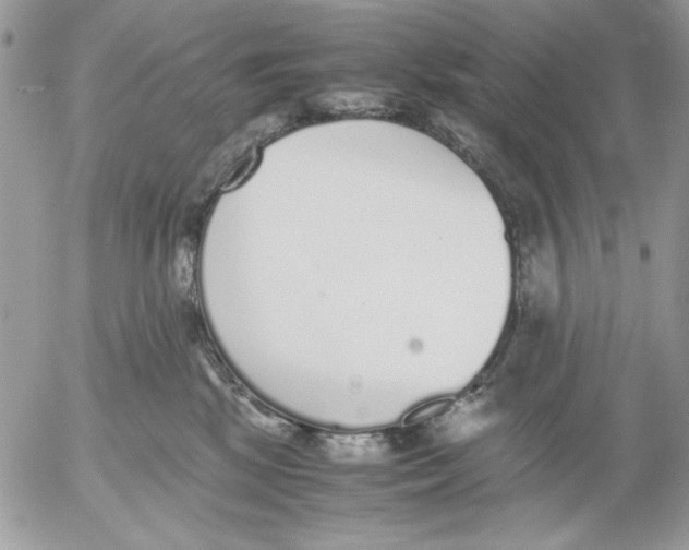 X0000052580281200507292040