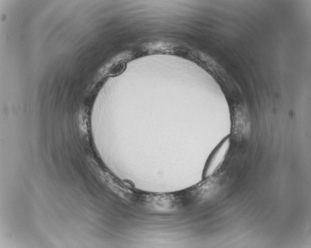 X0000052580282200507292040