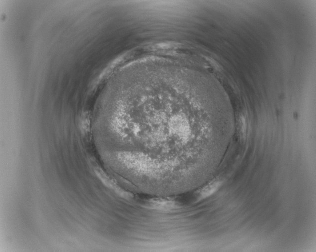 X0000052580284200507292040