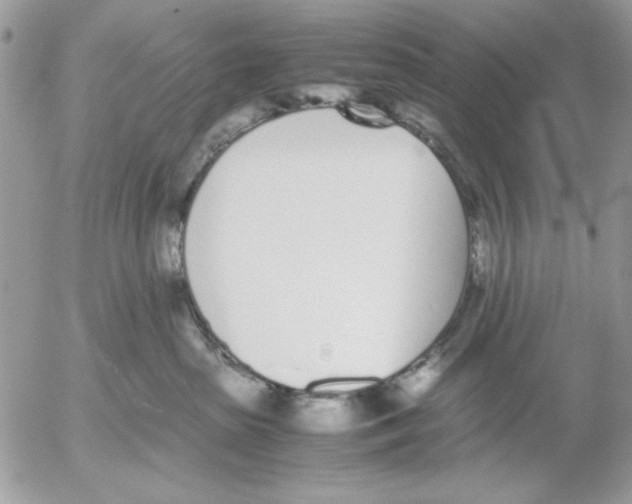 X0000052580285200507292040