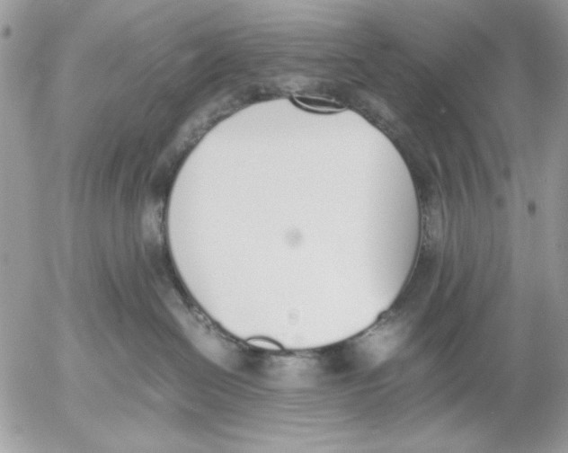 X0000052580286200507292040