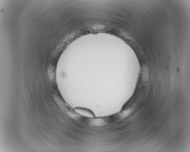 X0000052580287200507292040