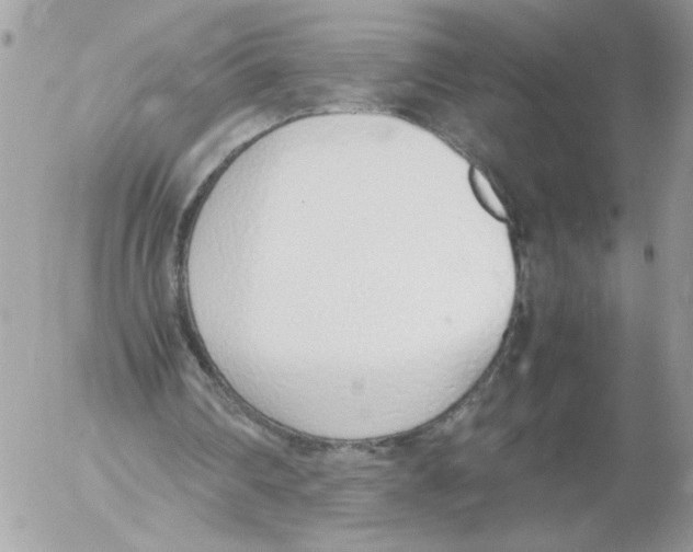 X0000052580290200507292039