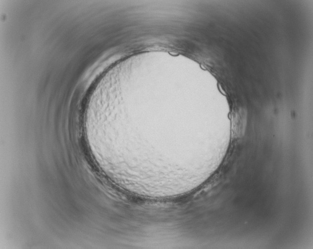 X0000052580291200507292039