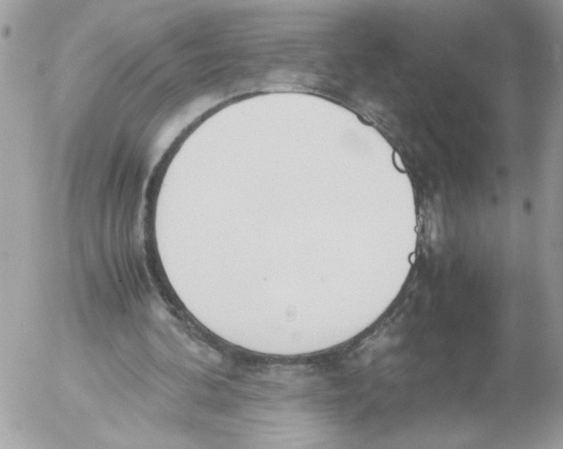 X0000052580292200507292039