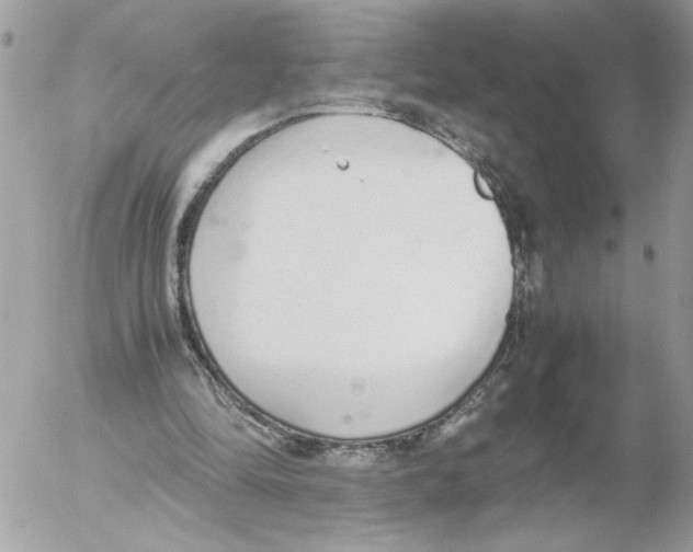 X0000052580294200507292039