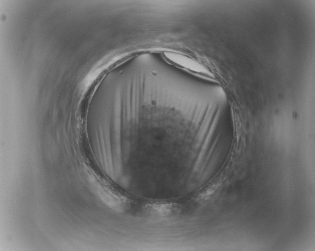 X0000052580295200507292039