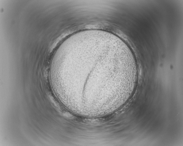 X0000052580297200507292039