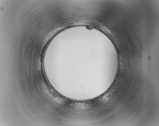 X0000052580298200507292039