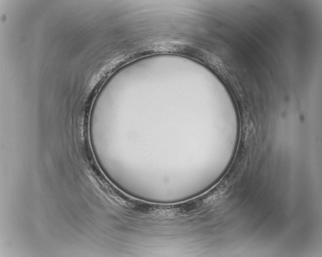 X0000052580299200507292039