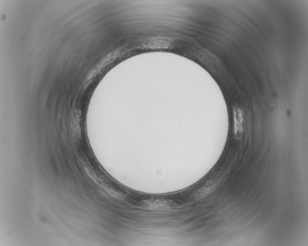 X0000052580300200507292039