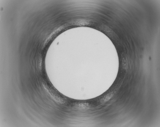 X0000052580304200507292039