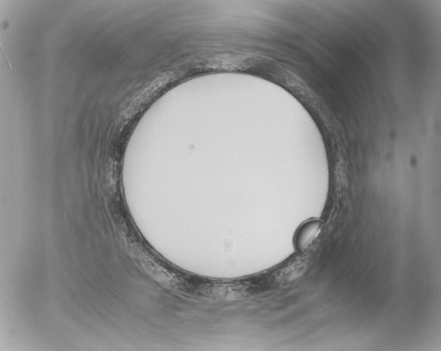 X0000052580305200507292039