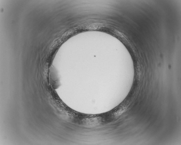 X0000052580307200507292039