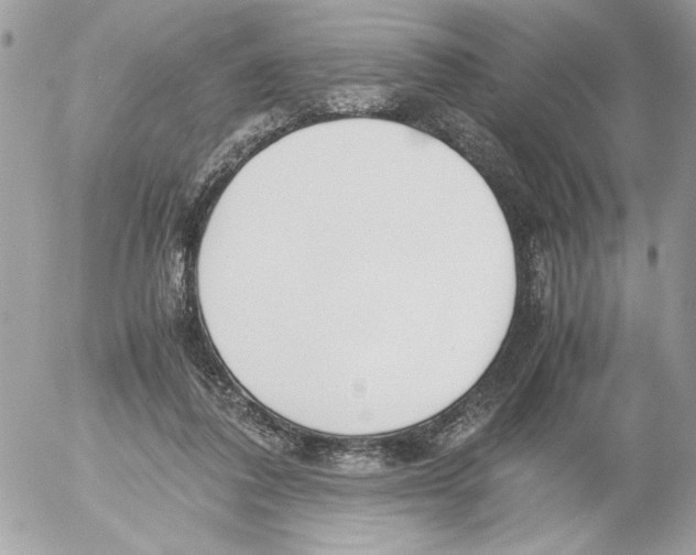 X0000052580308200507292039