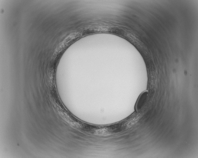 X0000052580309200507292039