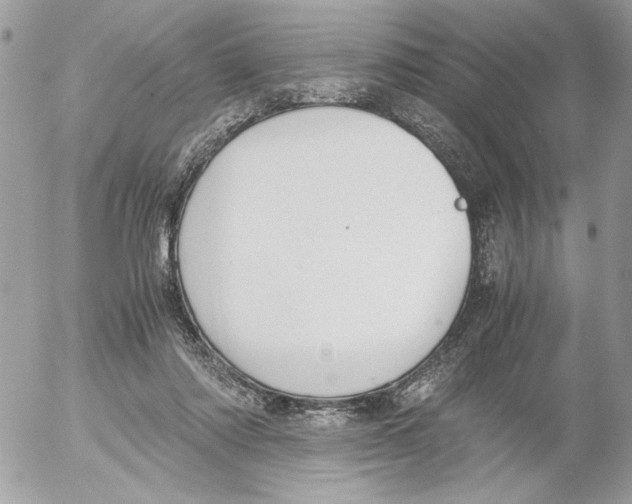 X0000052580310200507292039