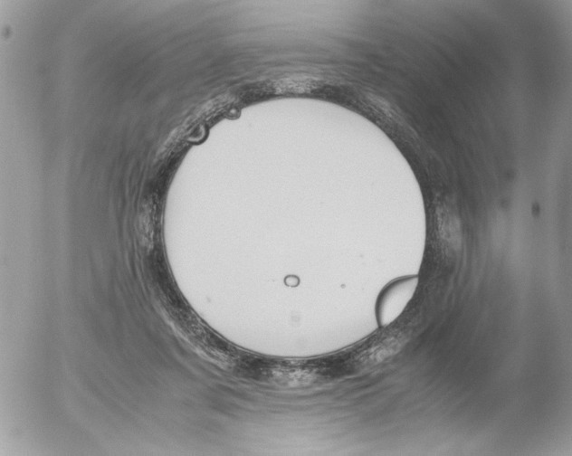 X0000052580311200507292039