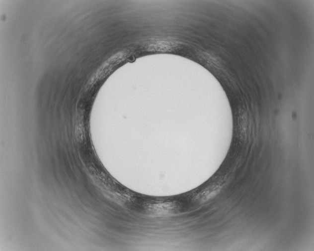 X0000052580312200507292039