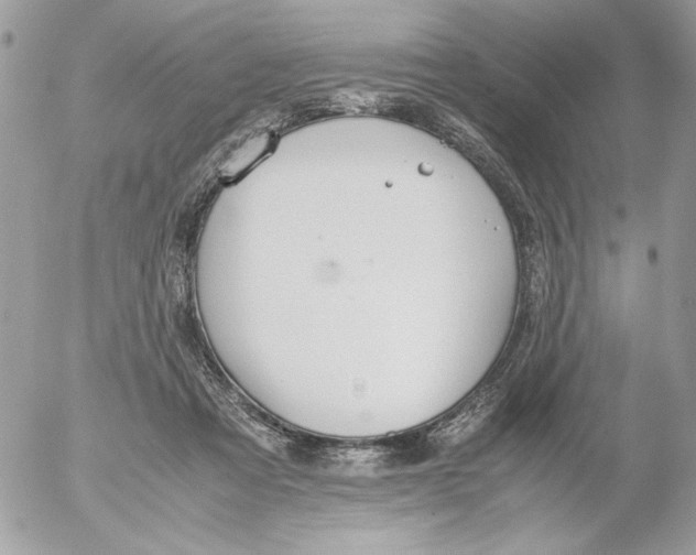 X0000052580313200507292039