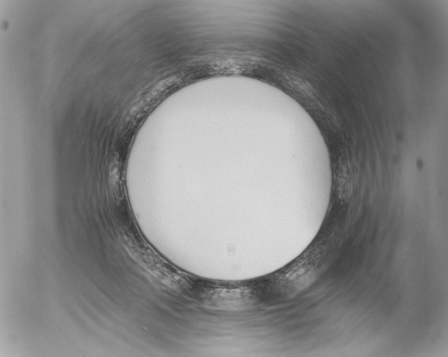 X0000052580314200507292039