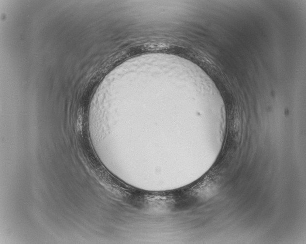 X0000052580315200507292038