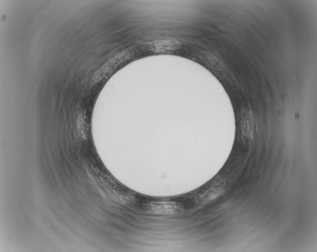 X0000052580316200507292038