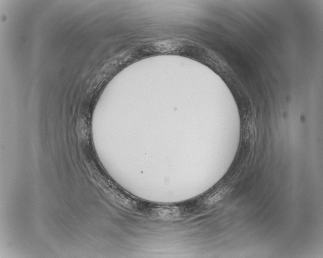 X0000052580317200507292038